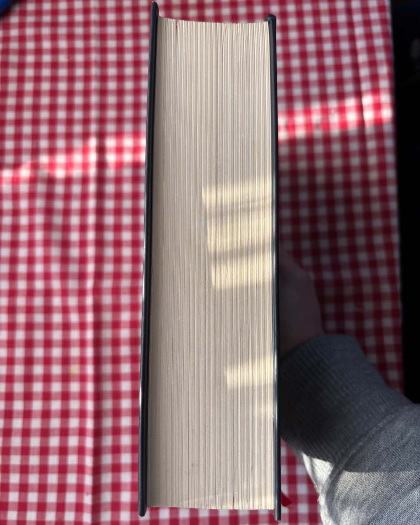 Природа всіх речей-Елізабет Ґілберт