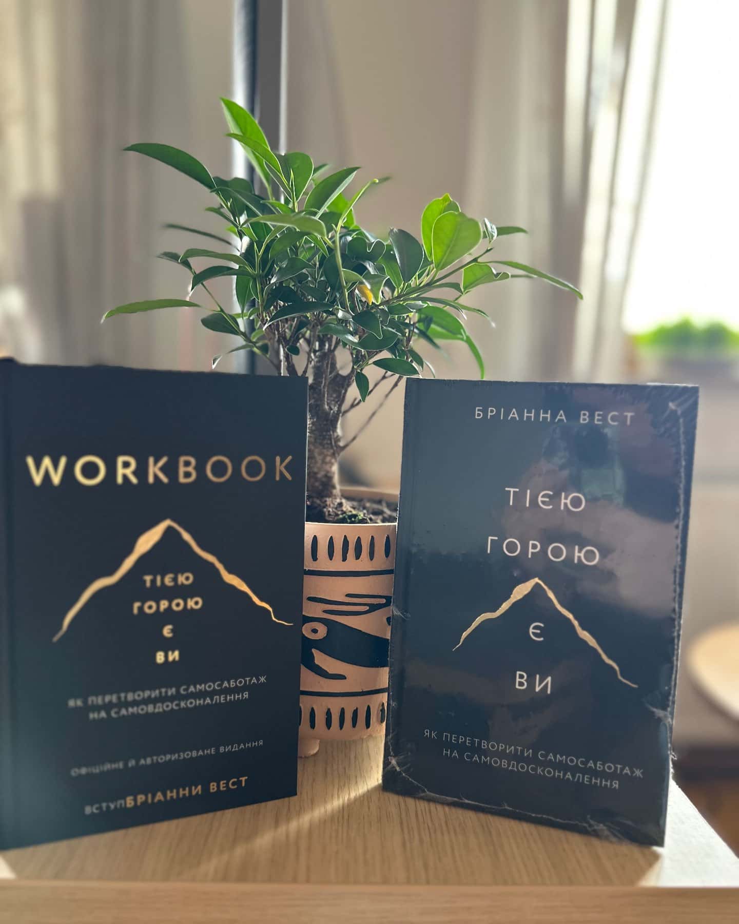 Workbook. Тією горою є ви. Як перетворити самосаботаж на самовдосконалення-Бріанна Вест