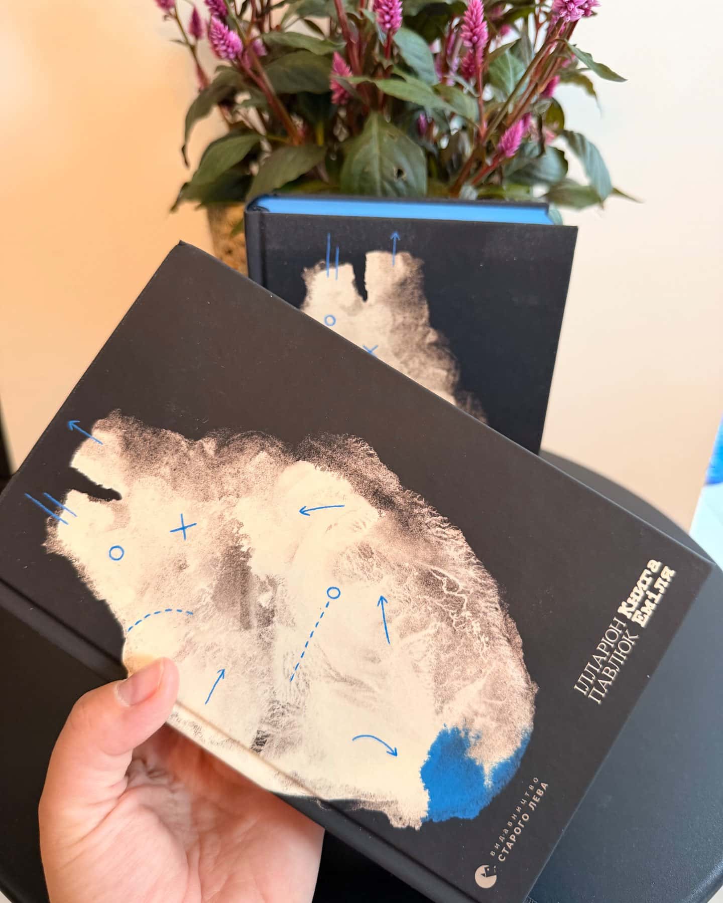 Книга Еміля — Ілларіон Павлюк