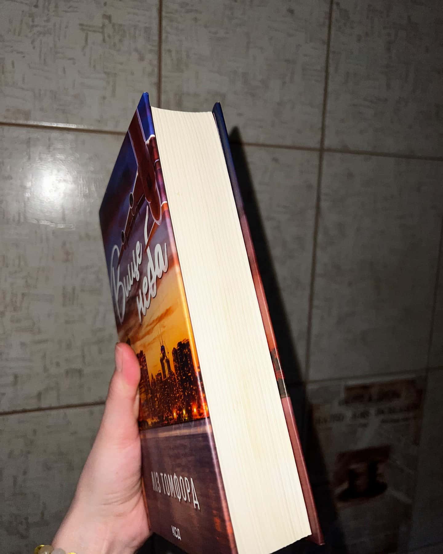 Вище неба. Місто вітрів. Книга 1-Ліз Томфорд