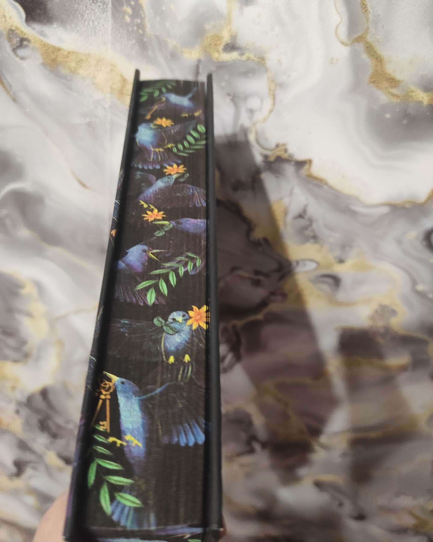 Будинок Старлінгів (кольоровий зріз)-Алікс Е. Гарроу 1