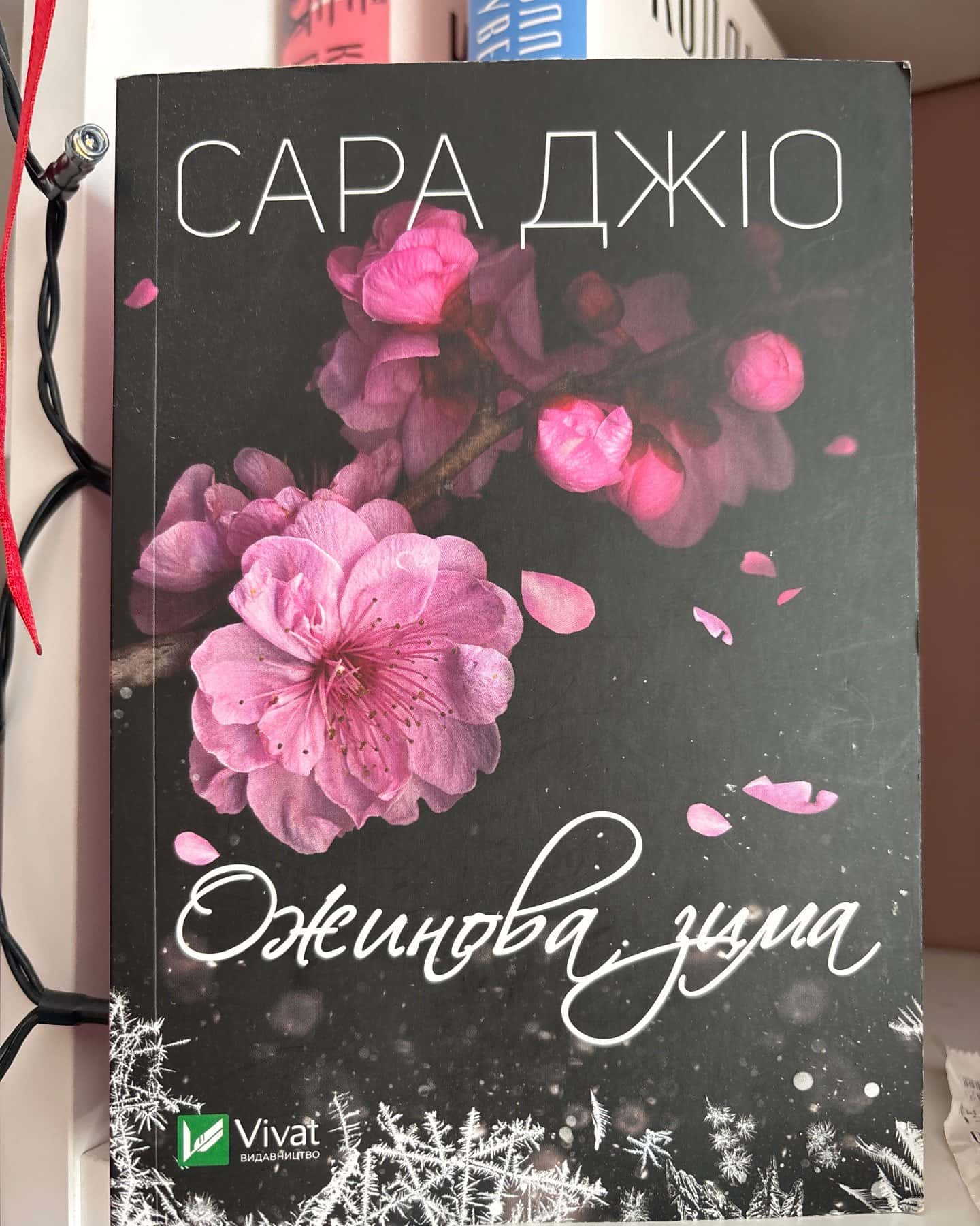 Ожинова зима — Сара Джіо