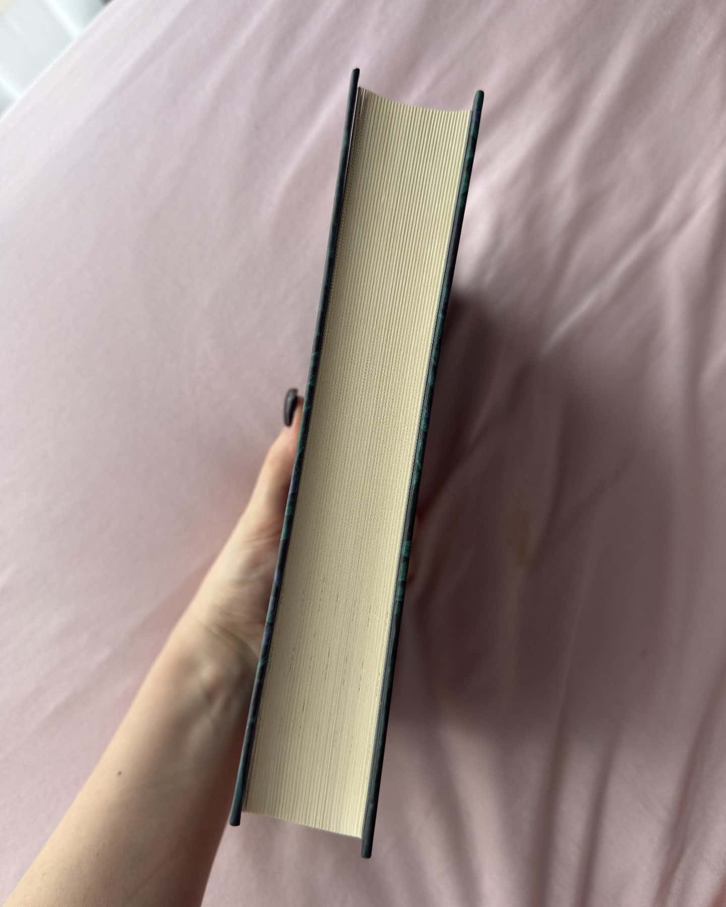 Незриме життя Адді Лярю-Вікторія Шваб