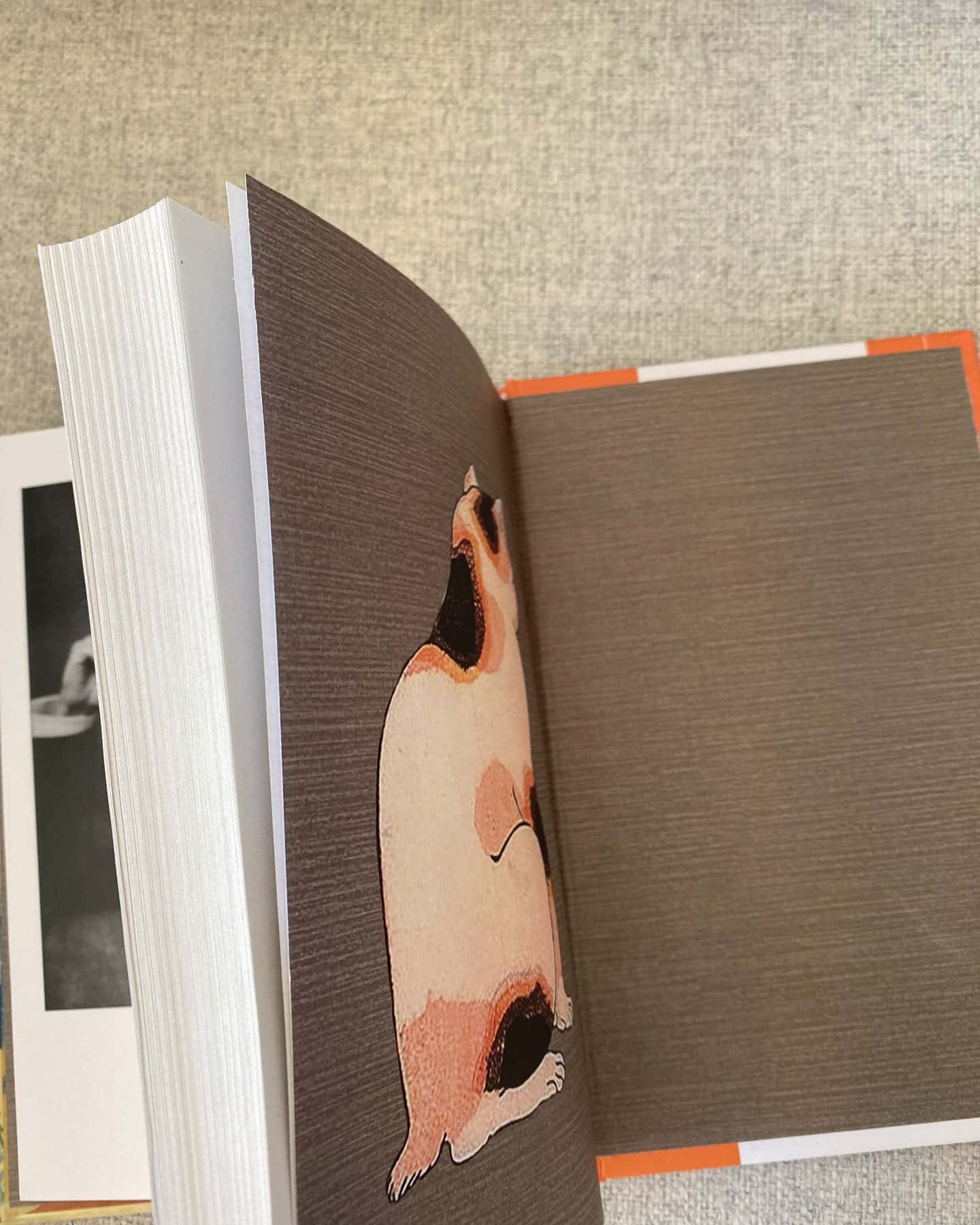 Ваш покірний слуга кіт-Нацуме Сосекі