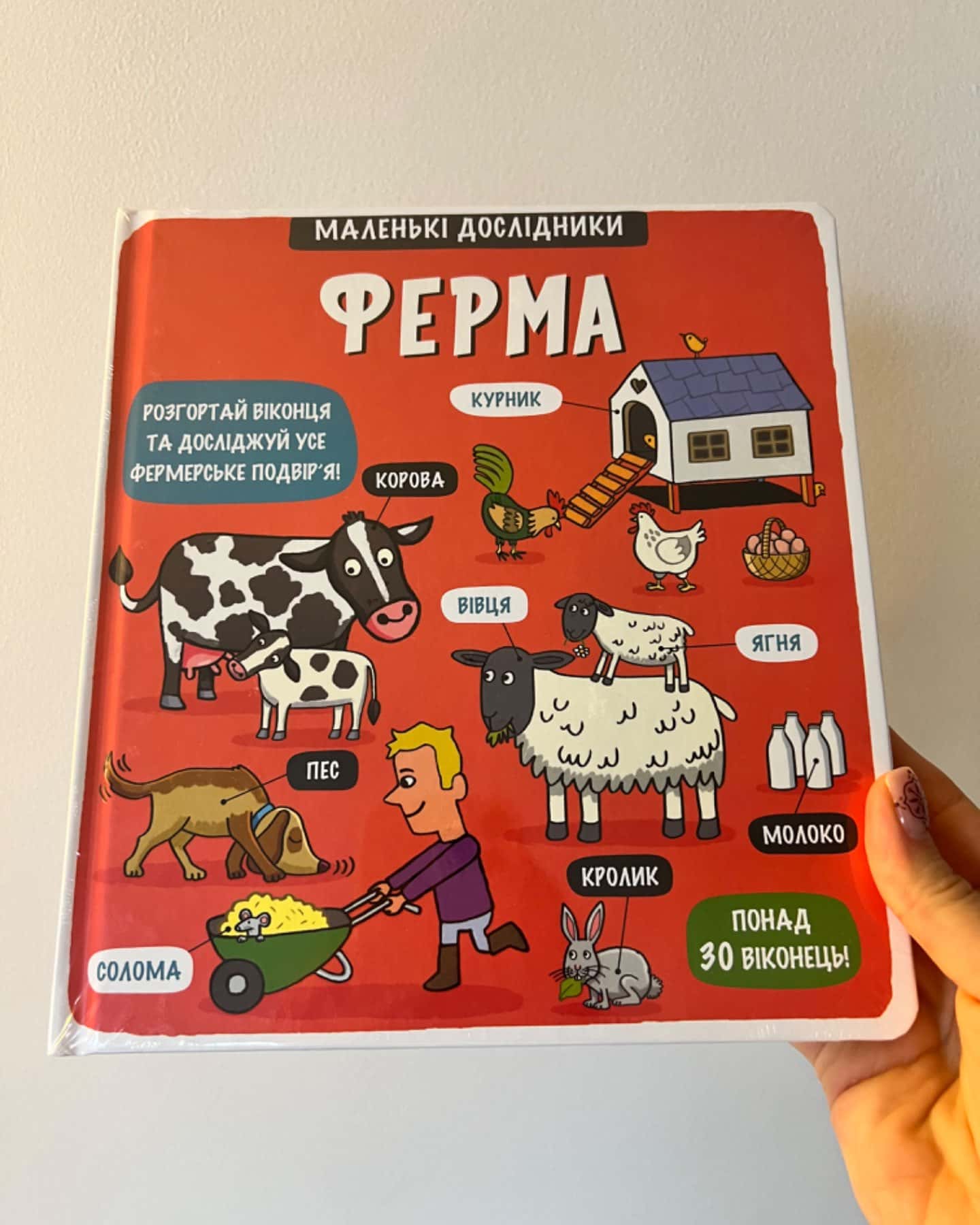 Маленькі дослідники. Ферма-Рут Мартін