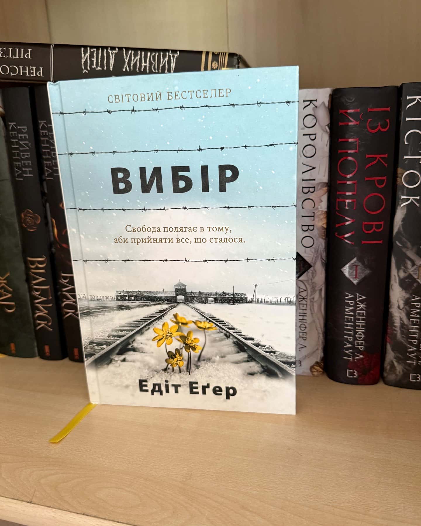 Вибір. Прийняти можливе — Едіт Єва Еґер