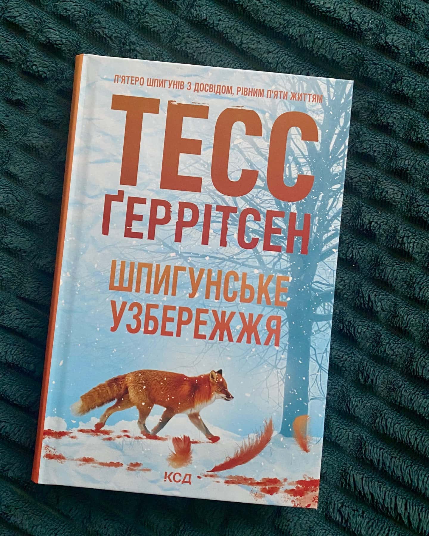 Шпигунське узбережжя. Книга 1-Тесс Ґеррітсен