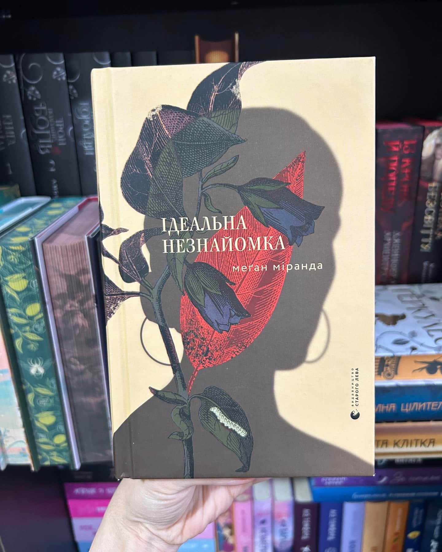 Ідеальна незнайомка-Меган Міранда