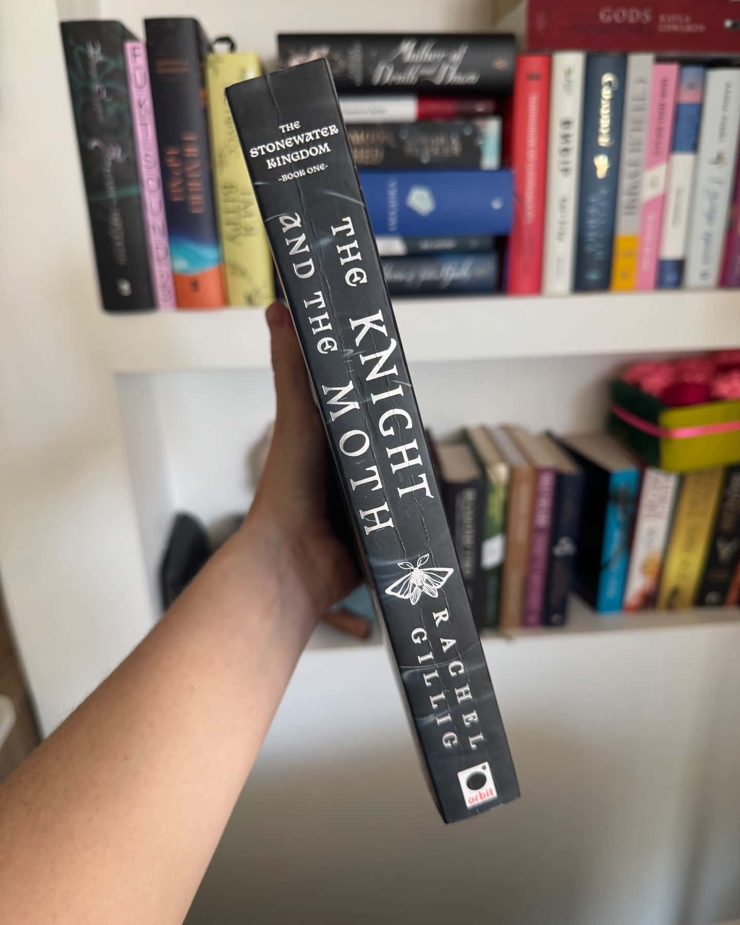The Knight and the Moth — Rachel Gillig