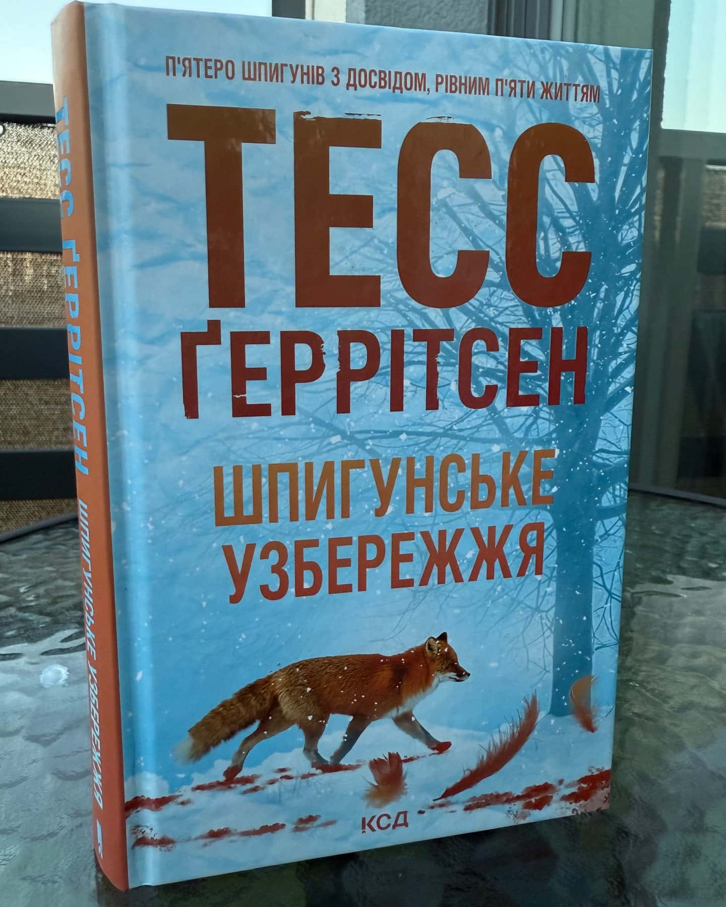 Шпигунське узбережжя. Книга 1-Тесс Ґеррітсен