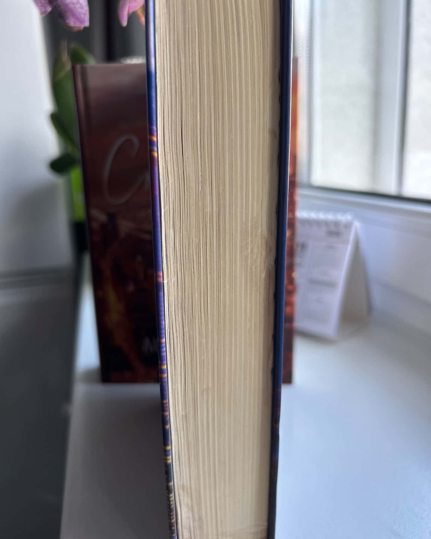 Правильне рішення. Місто вітрів. Книга 2, Спіймана. Місто вітрів. Книга 3-Ліз Томфорд