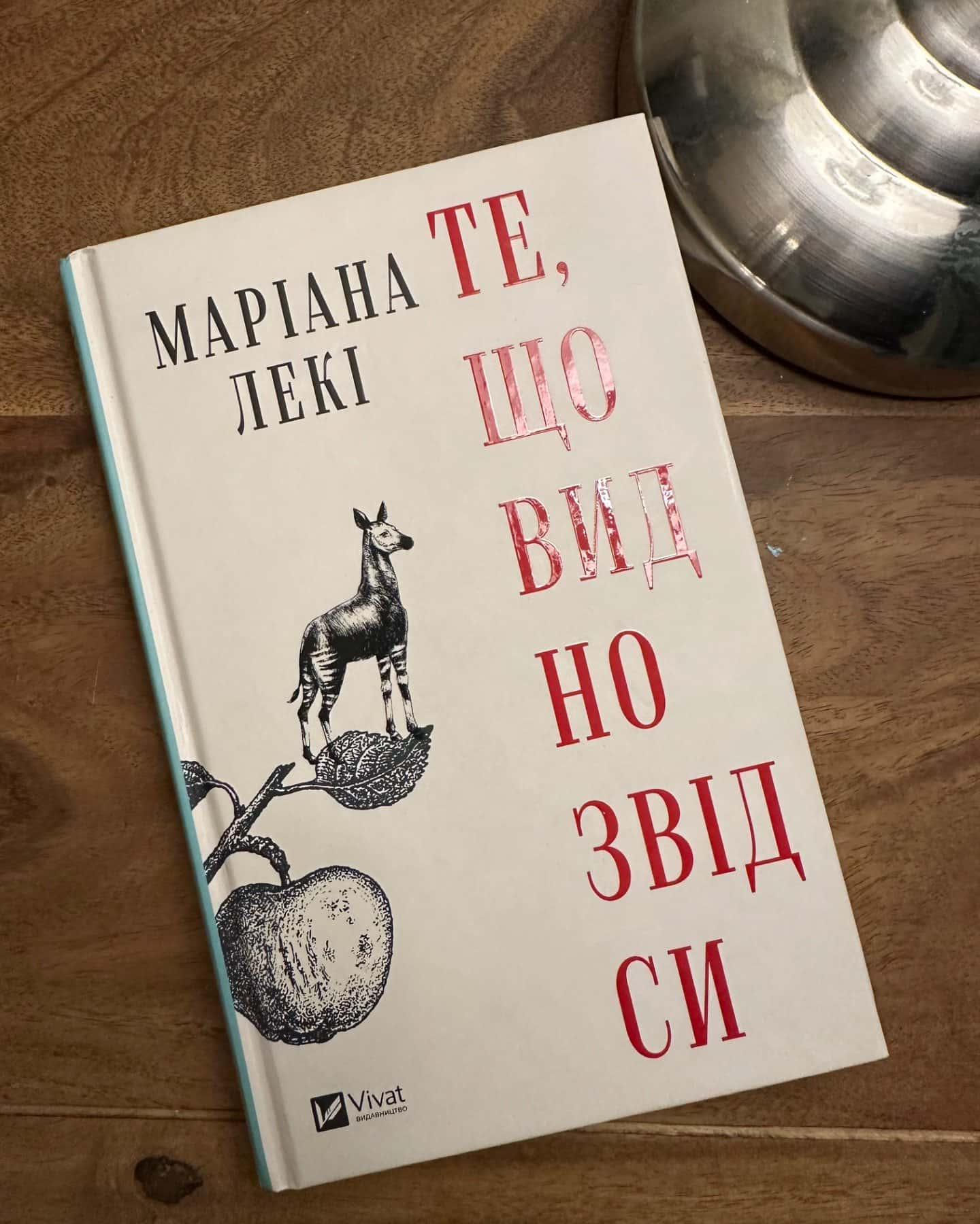 Те, що видно звідси-Маріана Лекі