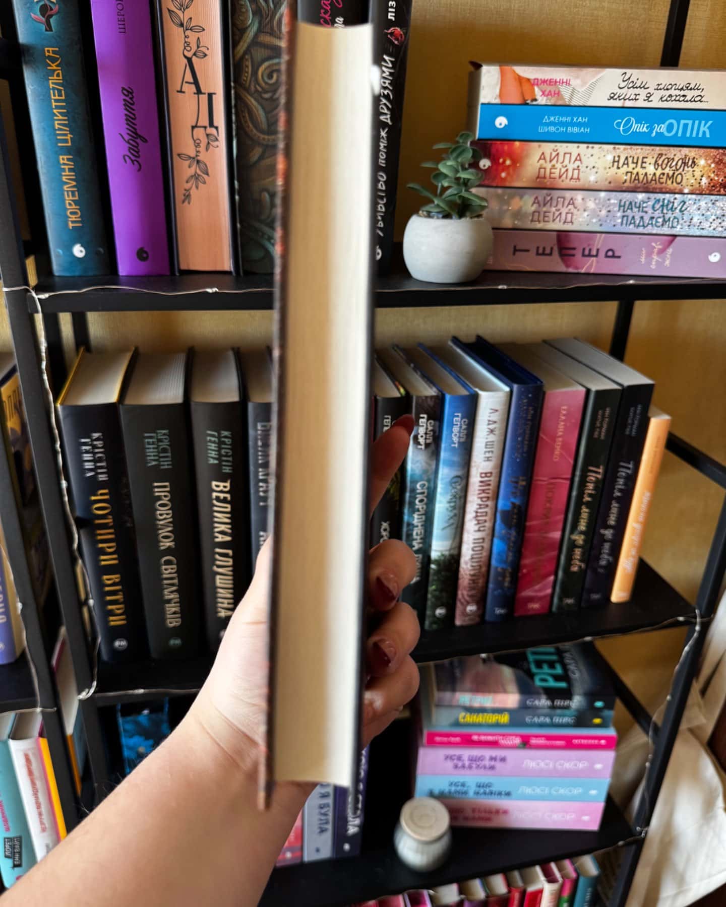 Однойменні-Едріенн Янг