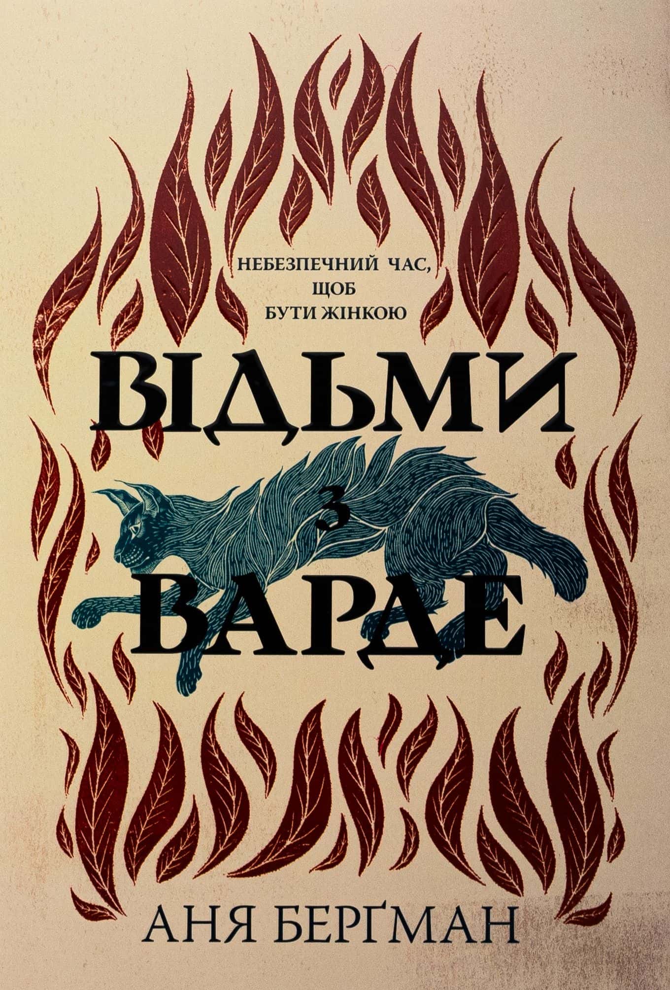 Обкладинка книги «Відьми з Варде» — Аня Бергман