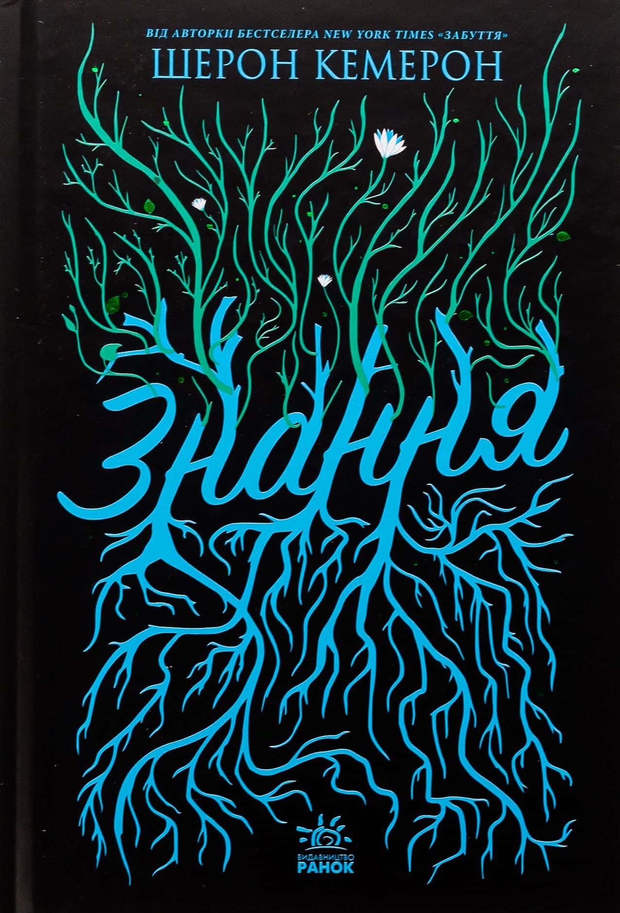 Обкладинка книги «Знання. Забуття. Книга 2. » — Шерон Кемерон