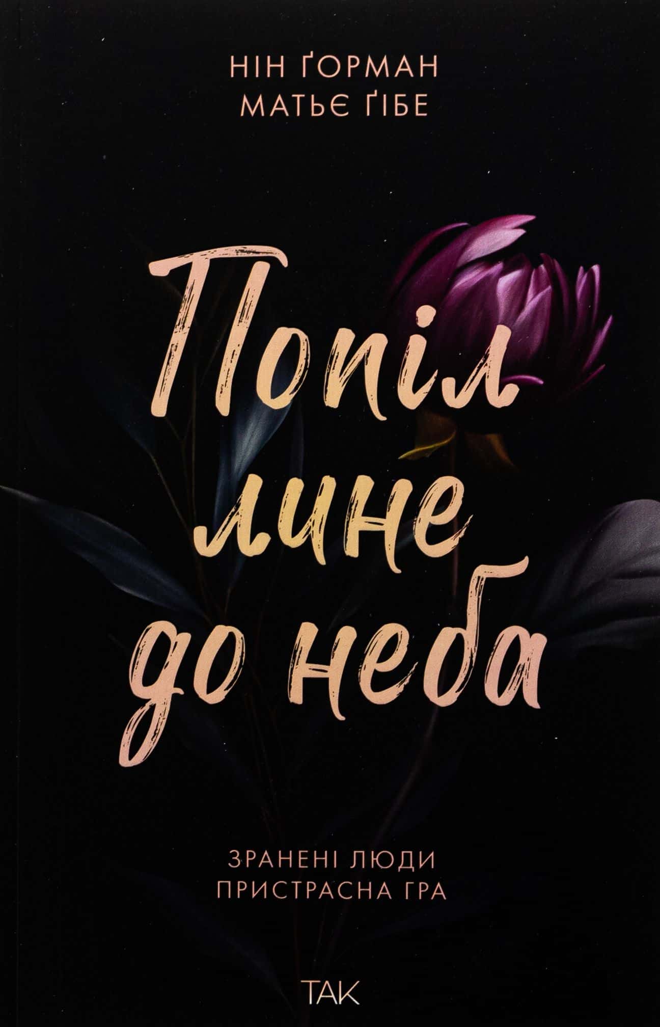 Обкладинка книги «Попіл лине до неба. Том 1» — Матьє Ґібе, Нін Ґорман