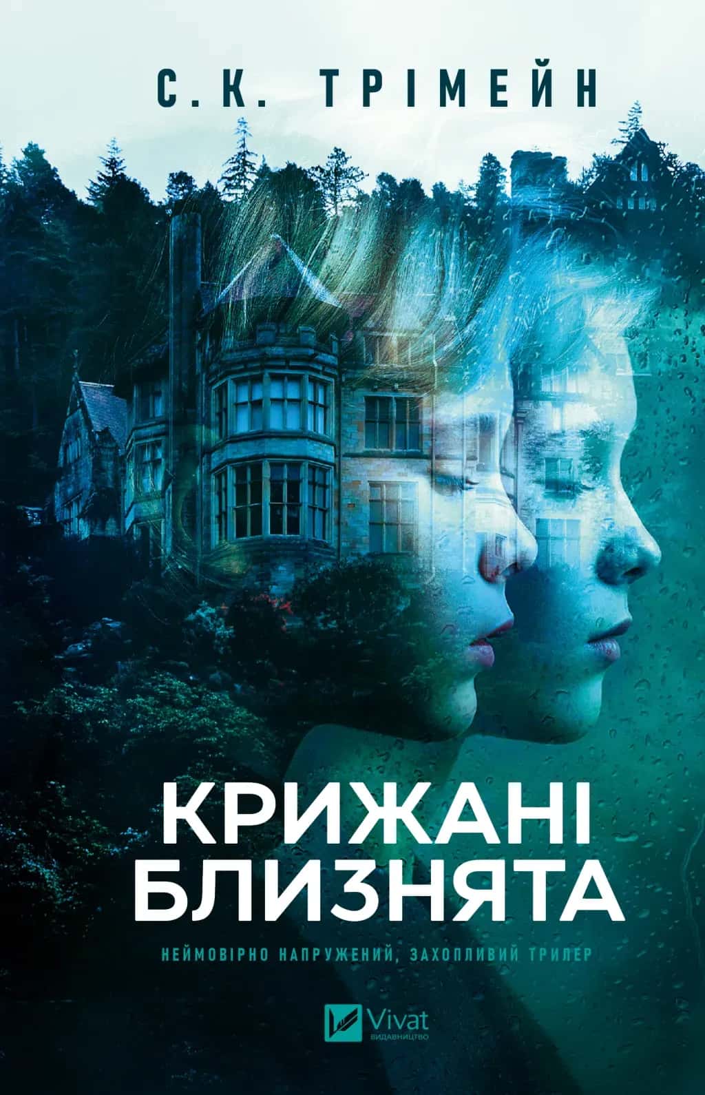 Обкладинка книги «Крижані близнята» — С. К. Тремейн