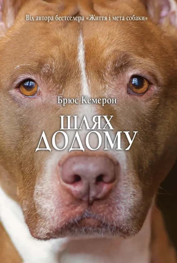 Брюс Кемерон - Шлях додому
