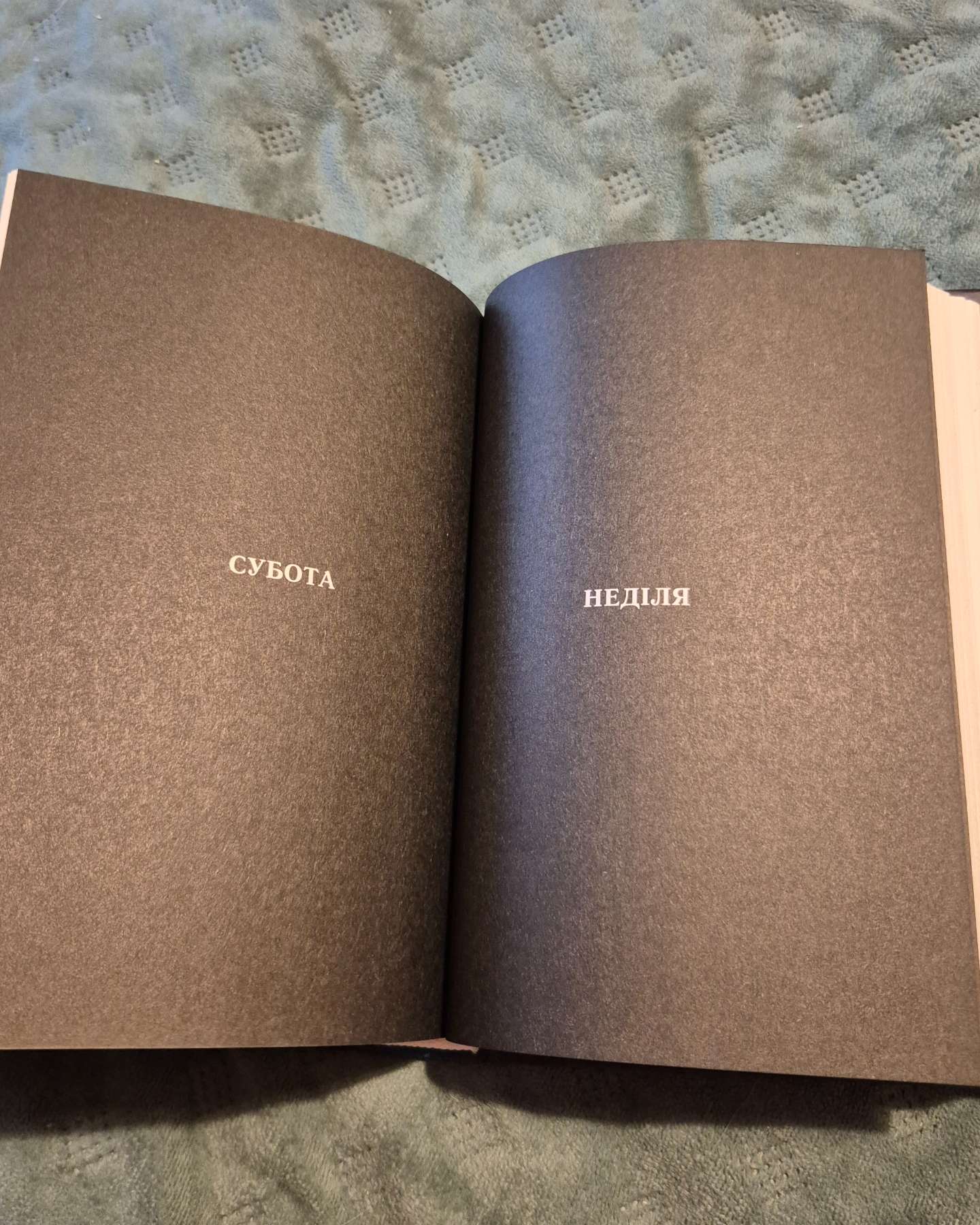 Тюремна цілителька. Книга 1-Лінетт Ноні