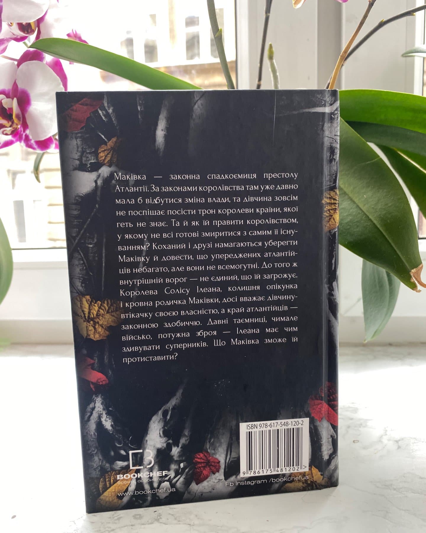 Кров і попіл. Книга 2. Королівство плоті й вогню, Кров і попіл. Книга 3. Корона з позолочених кісток-Дженніфер Л. Арментраут