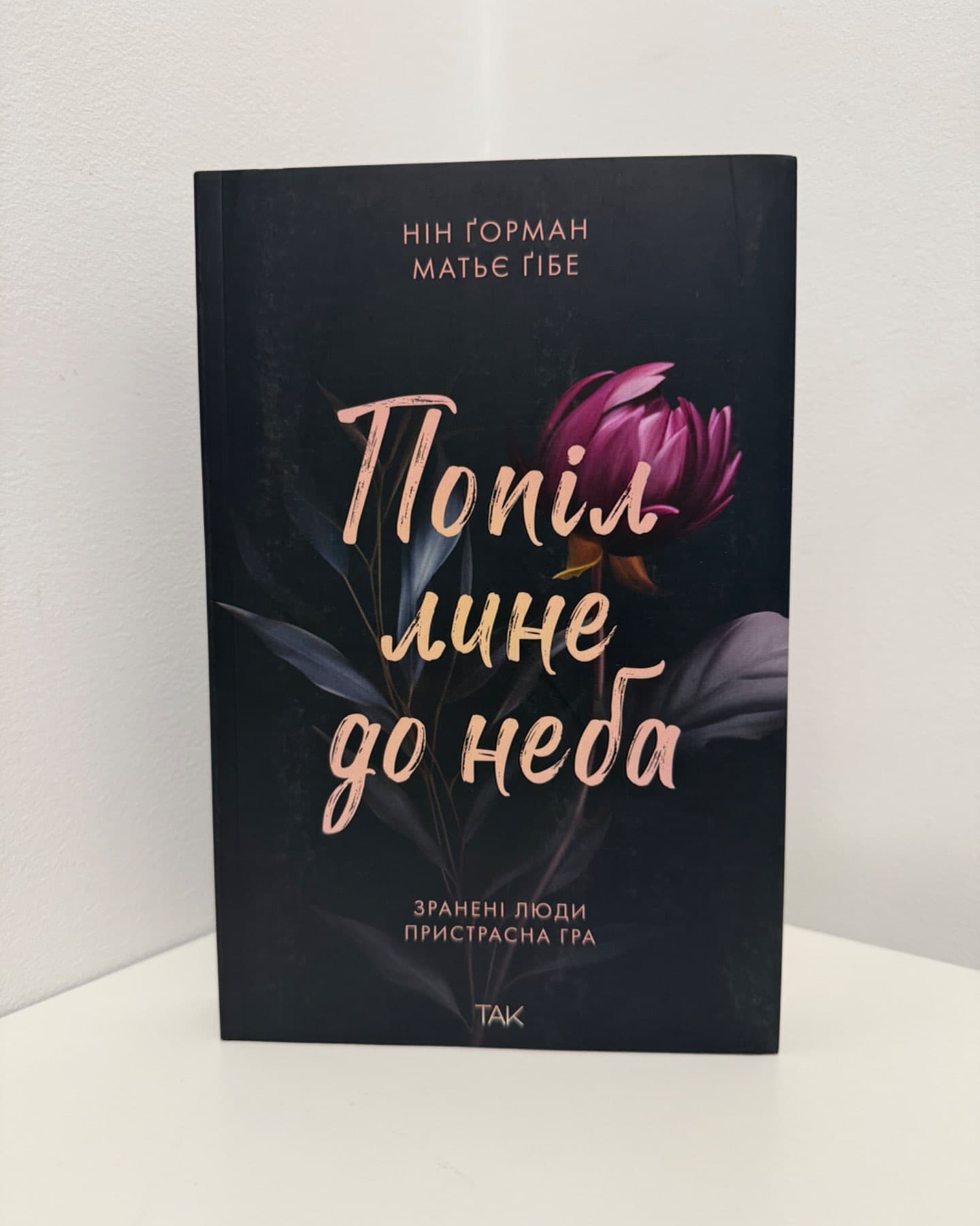 Попіл лине до неба. Том 1-Матьє Ґібе, Нін Ґорман