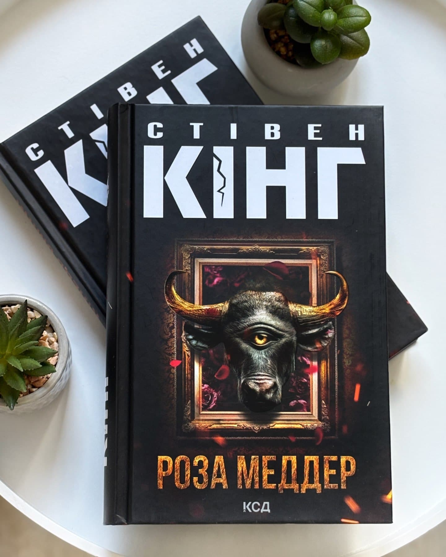 Роза Меддер-Стівен Кінг