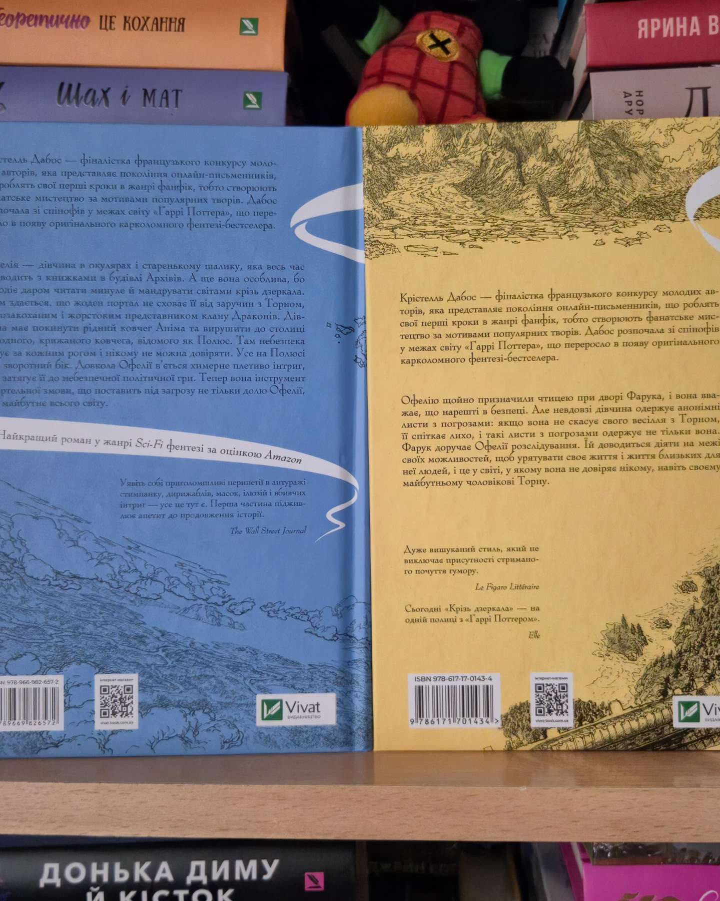 Крізь дзеркала. Зимові заручини, Книга Крізь дзеркала. Викрадені з Місяцесяйва-Крістель Дабос