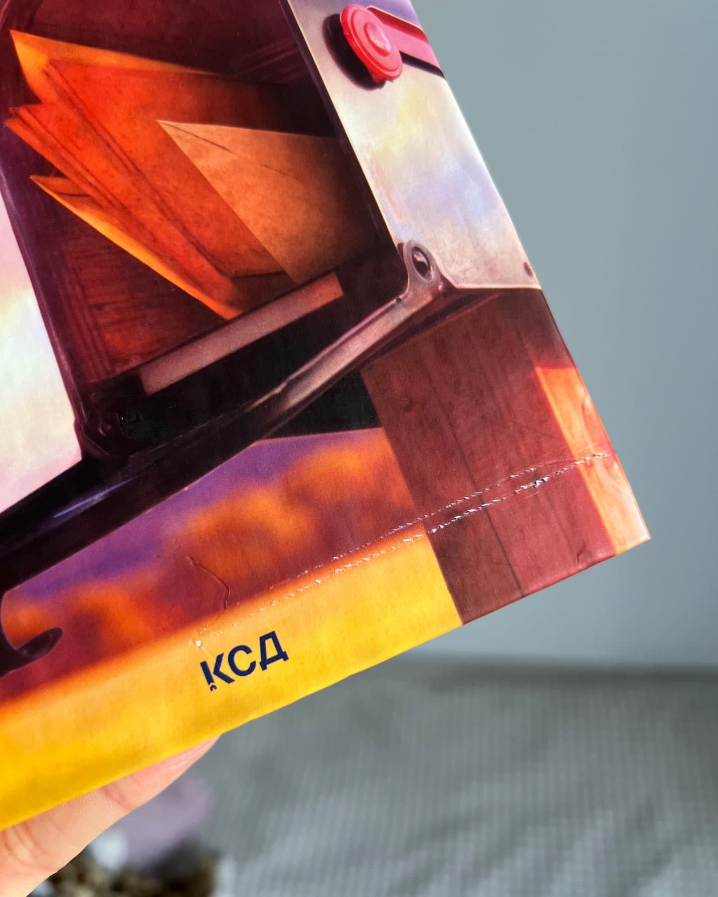 Незавершені справи-Ребекка Яррос