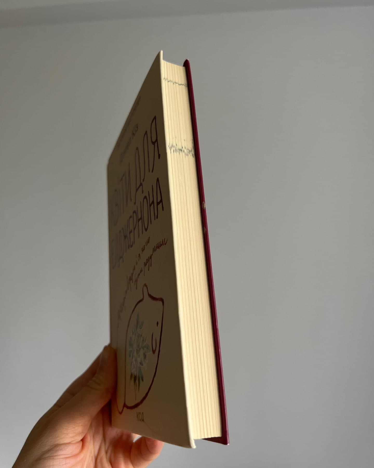 Квіти для Елджернона-Деніел Кіз