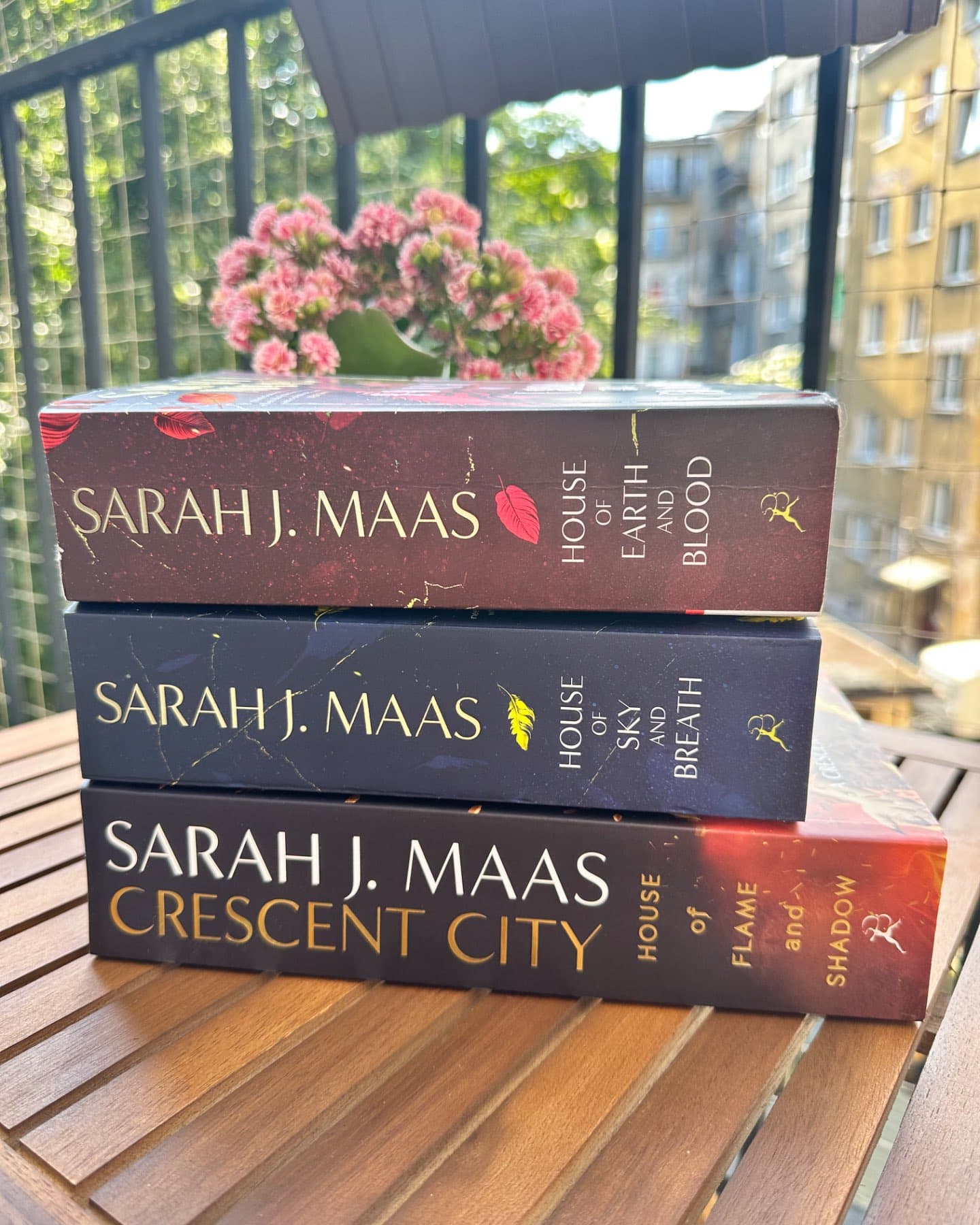 A Crescent City novel-Sarah J. Maas
