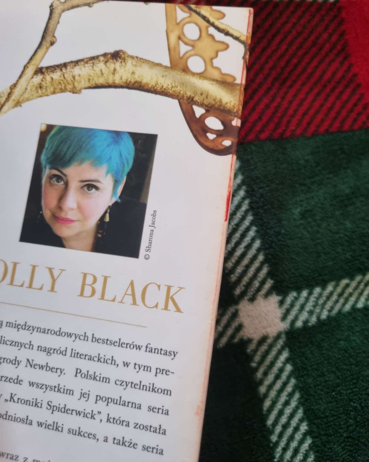 Серія Жорстокий принц-Холлі Блек