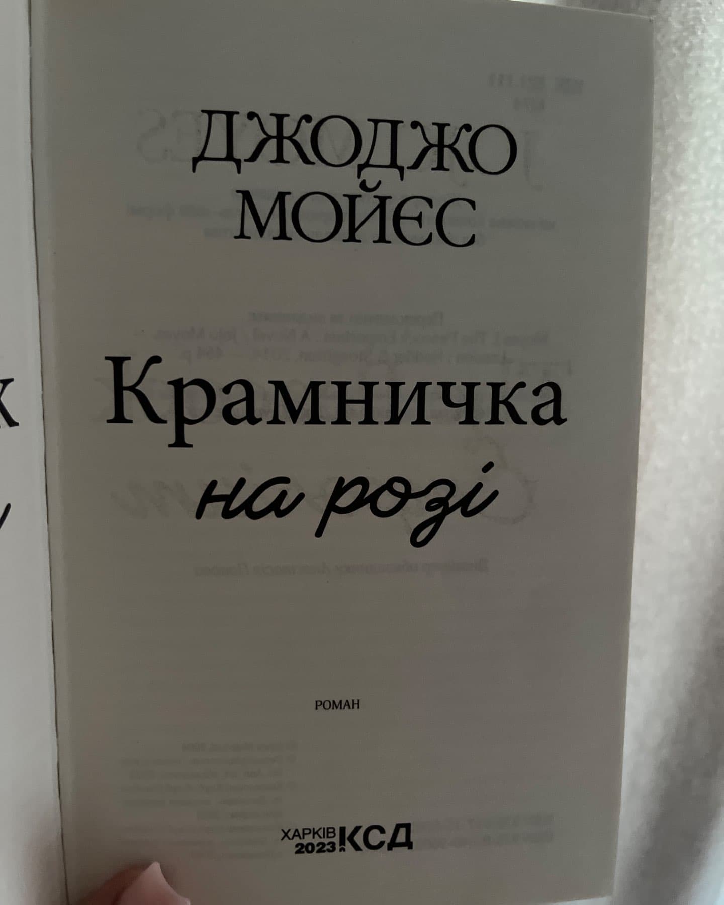 Крамничка на розі-Джоджо Мойєс