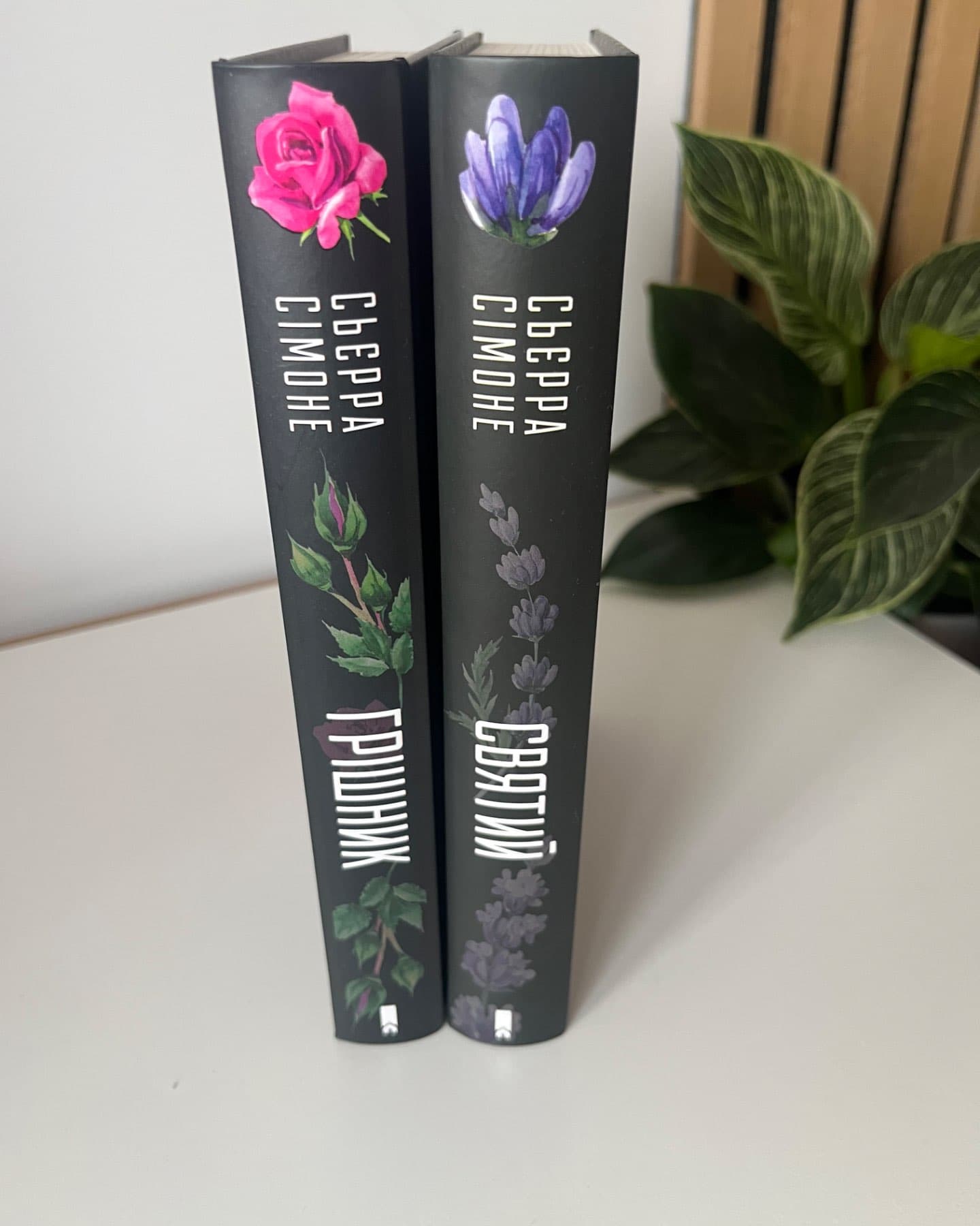 Грішник, Святий-Сьєрра Сімоне