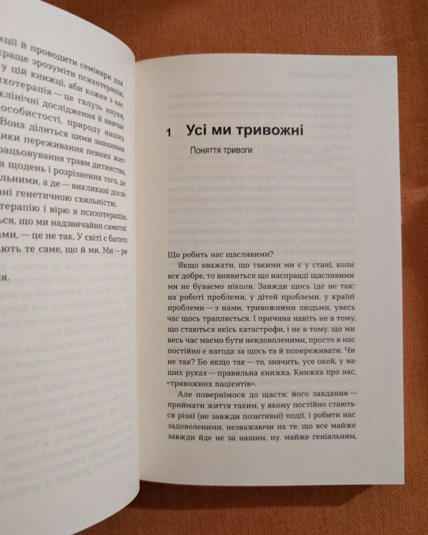 Стіни в моїй голові. Жити з тривожністю і депресією-Володимир Станчишин