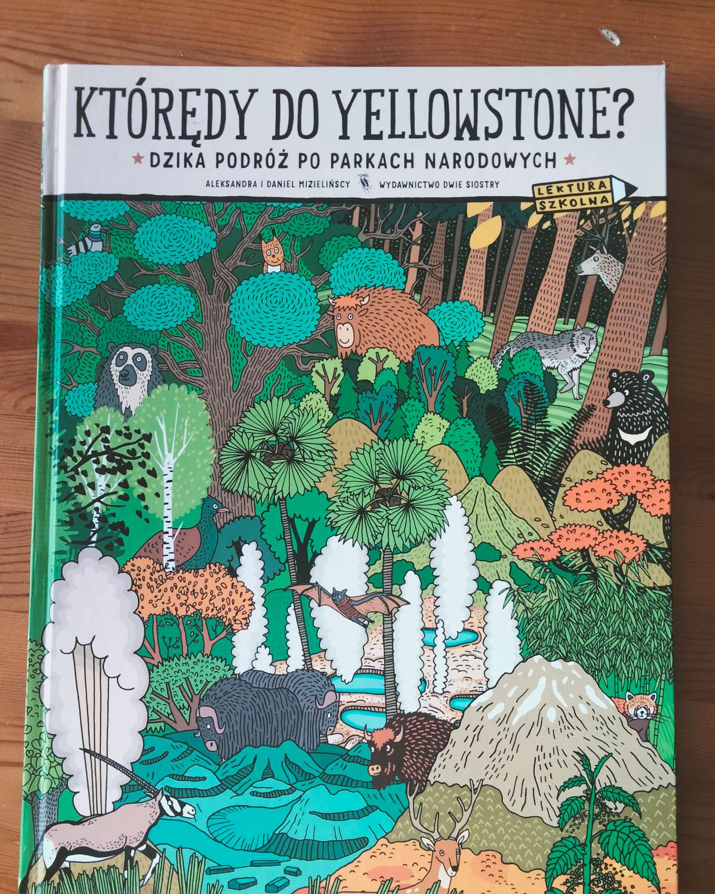 Którędy do Yellowstone? Dzika podróż po parkach narodowych-Aleksandra I Daniel Mizielińscy