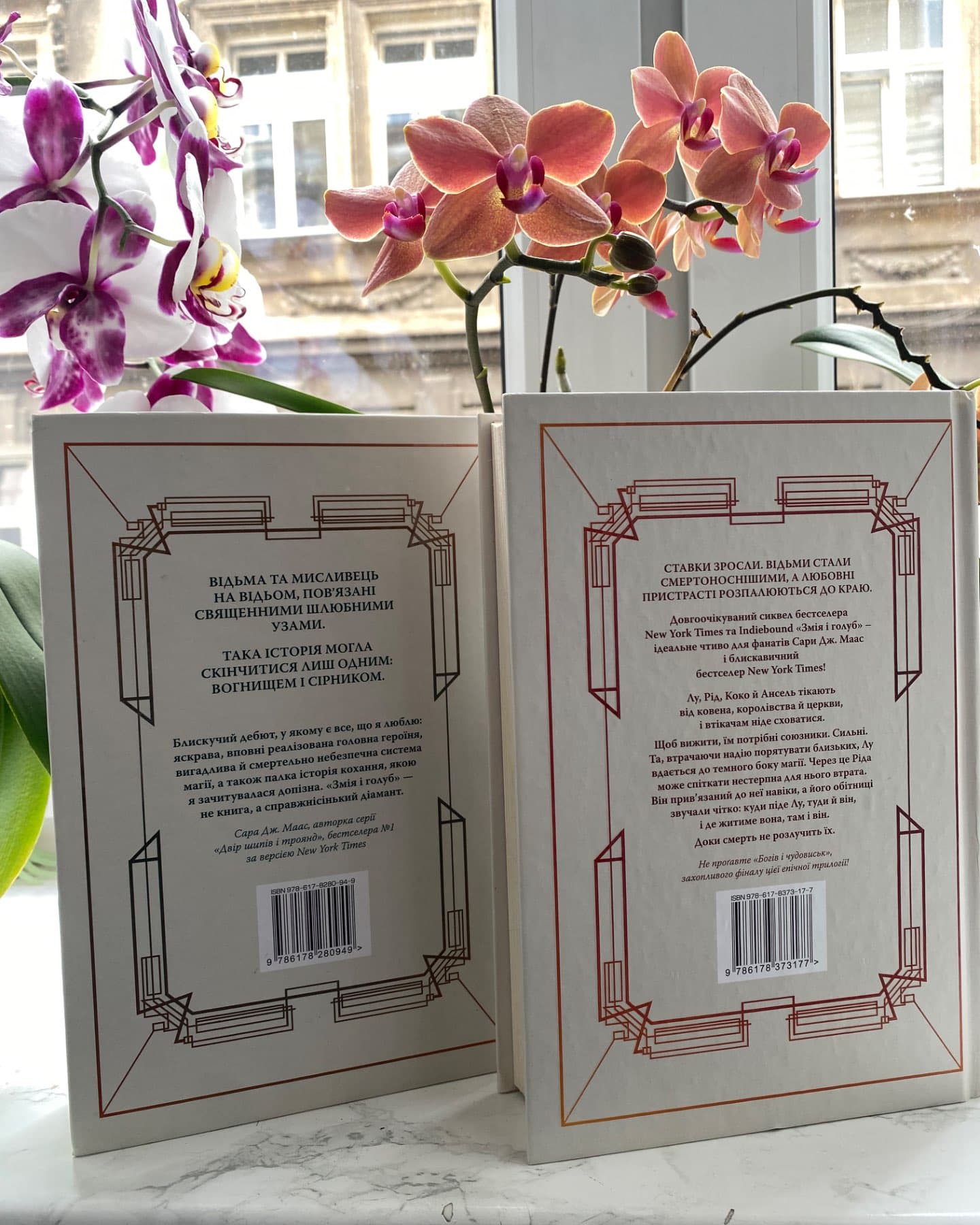 Змія і Голуб. Книга 1, Кров і мед. Книга 2-Шелбі Мег'юрін