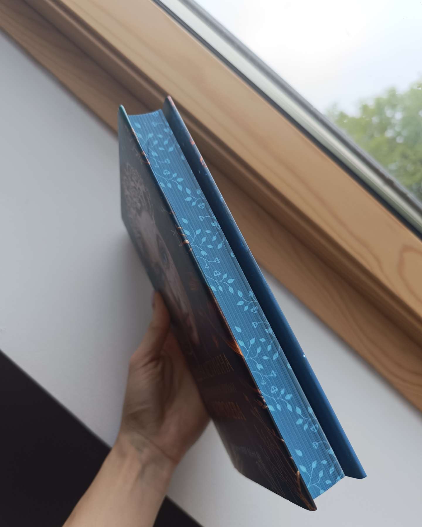 Коронована зорями. Одна істинна королева. Книга 1-Дженніфер Бенкау