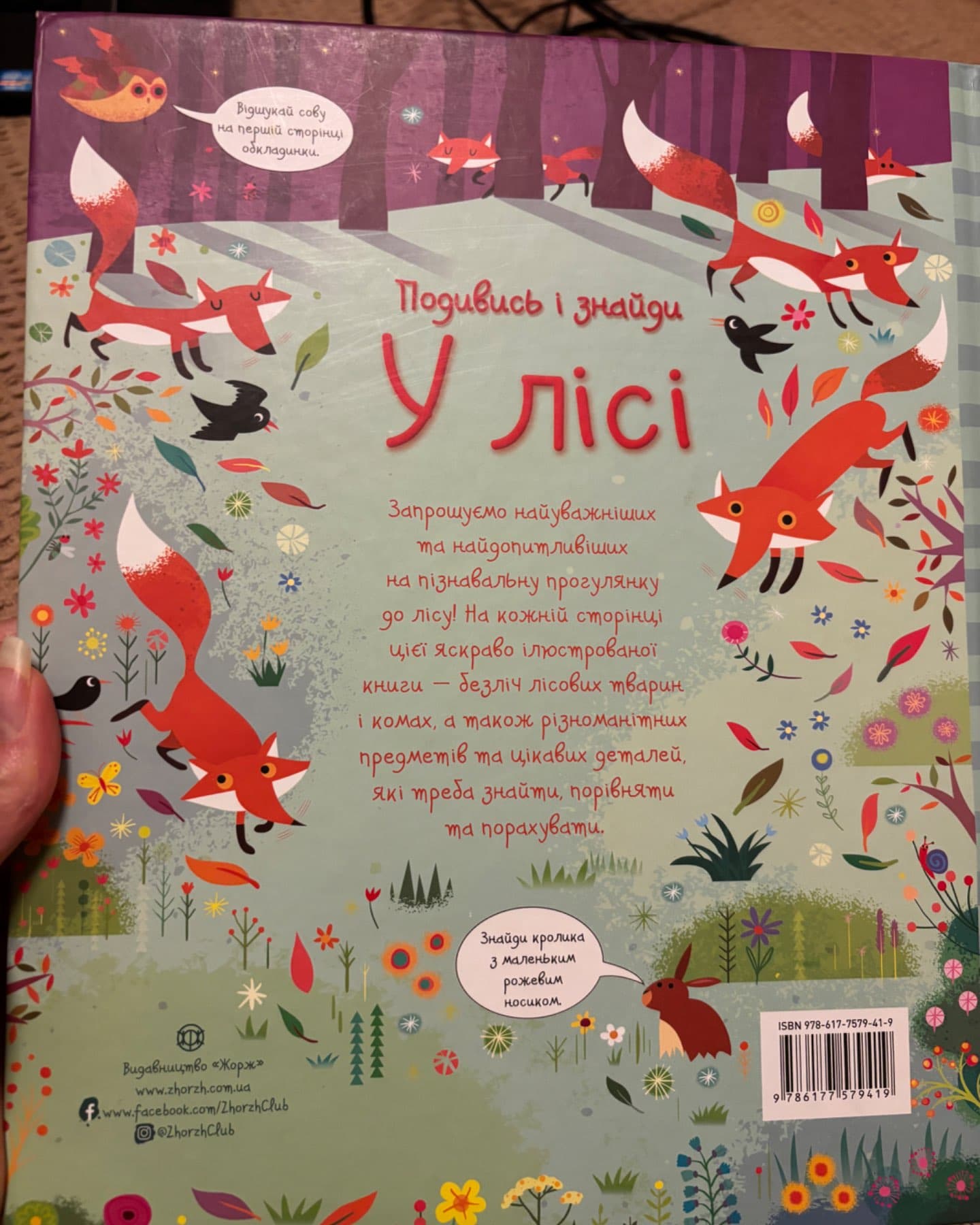 Подивись і знайди у лісі-Крістін Робсон
