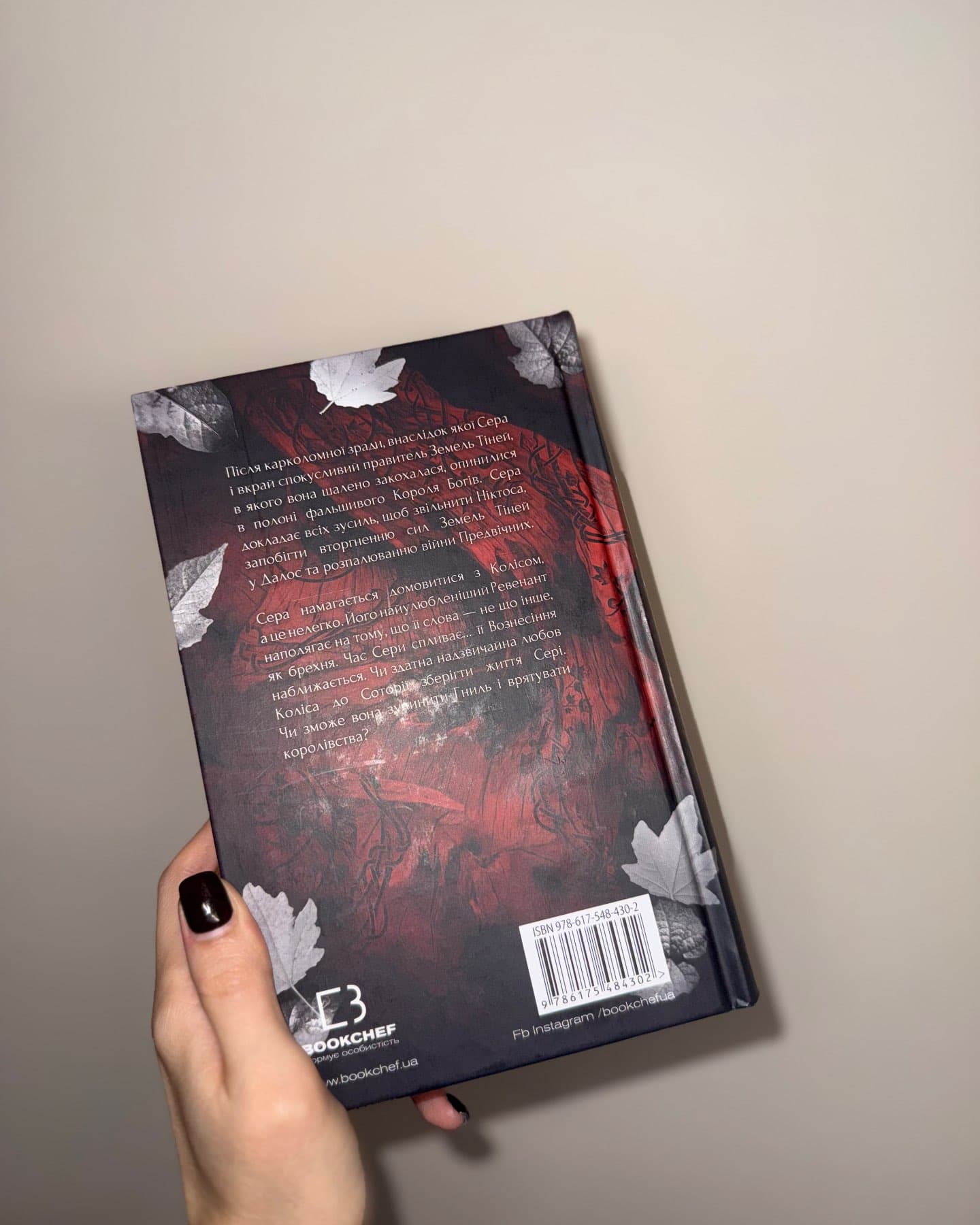 Плоть і вогонь. Книга 3. Вогонь у плоті-Дженніфер Л. Арментраут