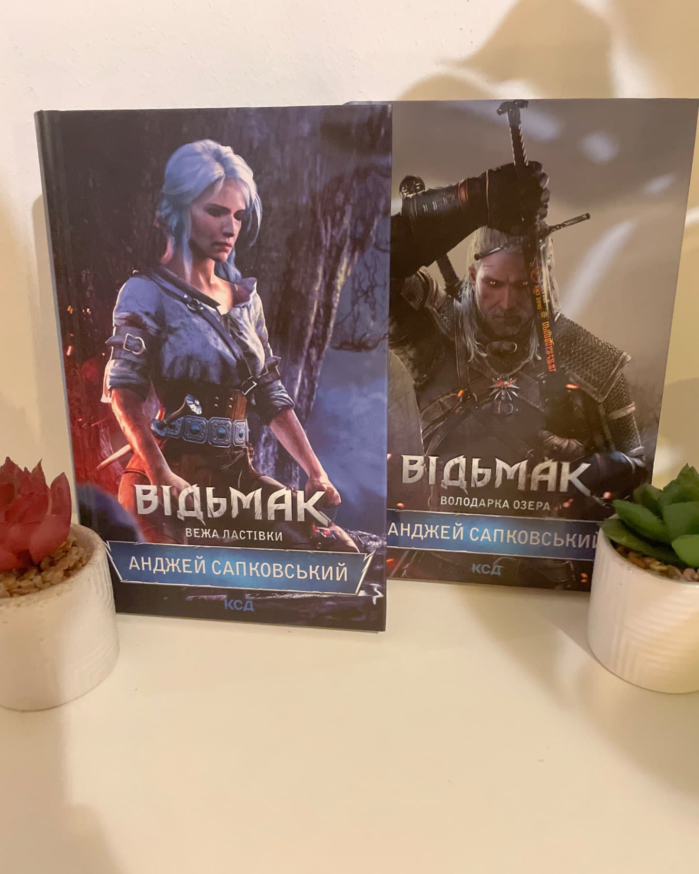 Відьмак. Вежа Ластівки. Книга 6, Відьмак. Володарка Озера. Книга 7-Анджей Сапковський