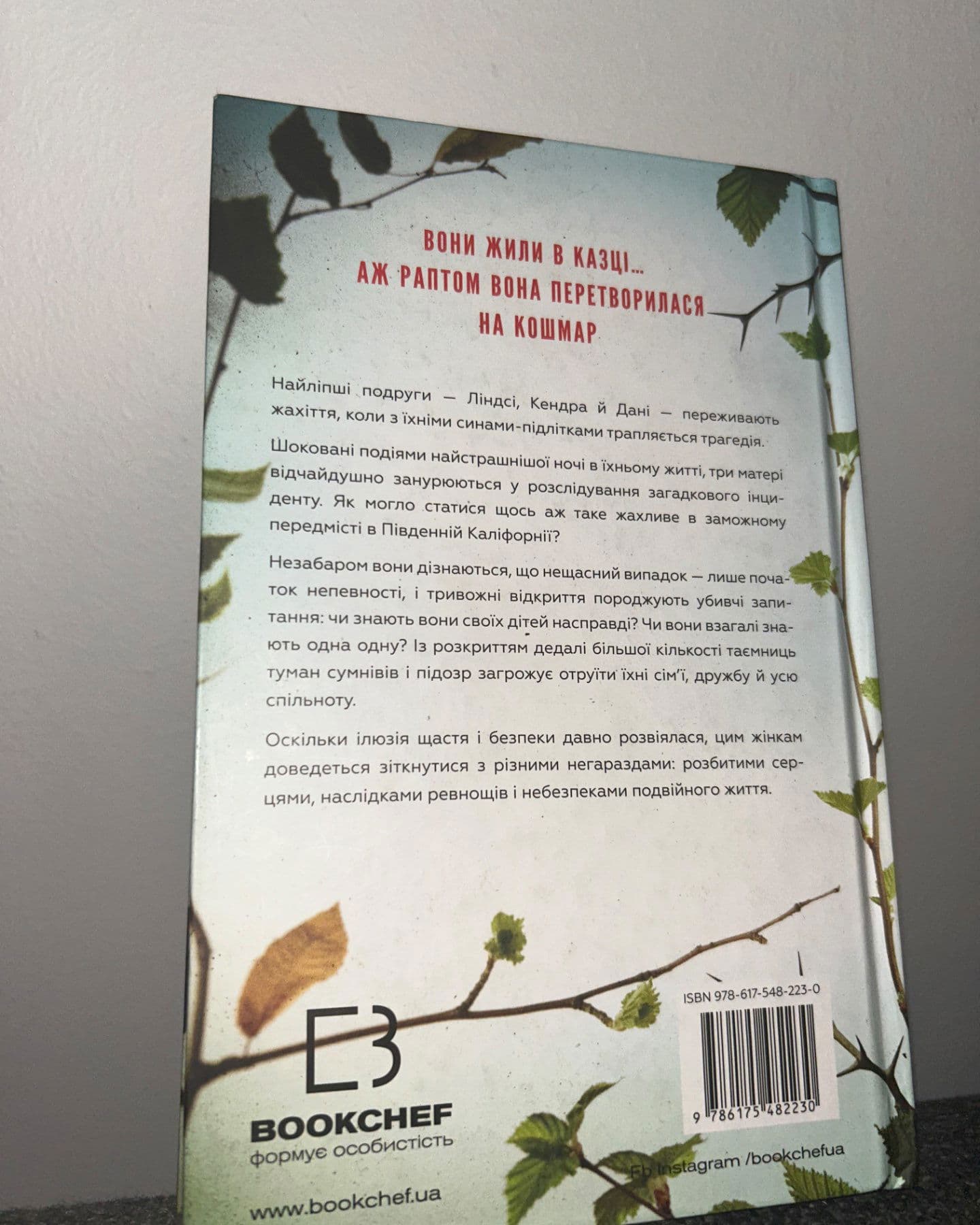 Найліпші друзі-Люсінда Беррі