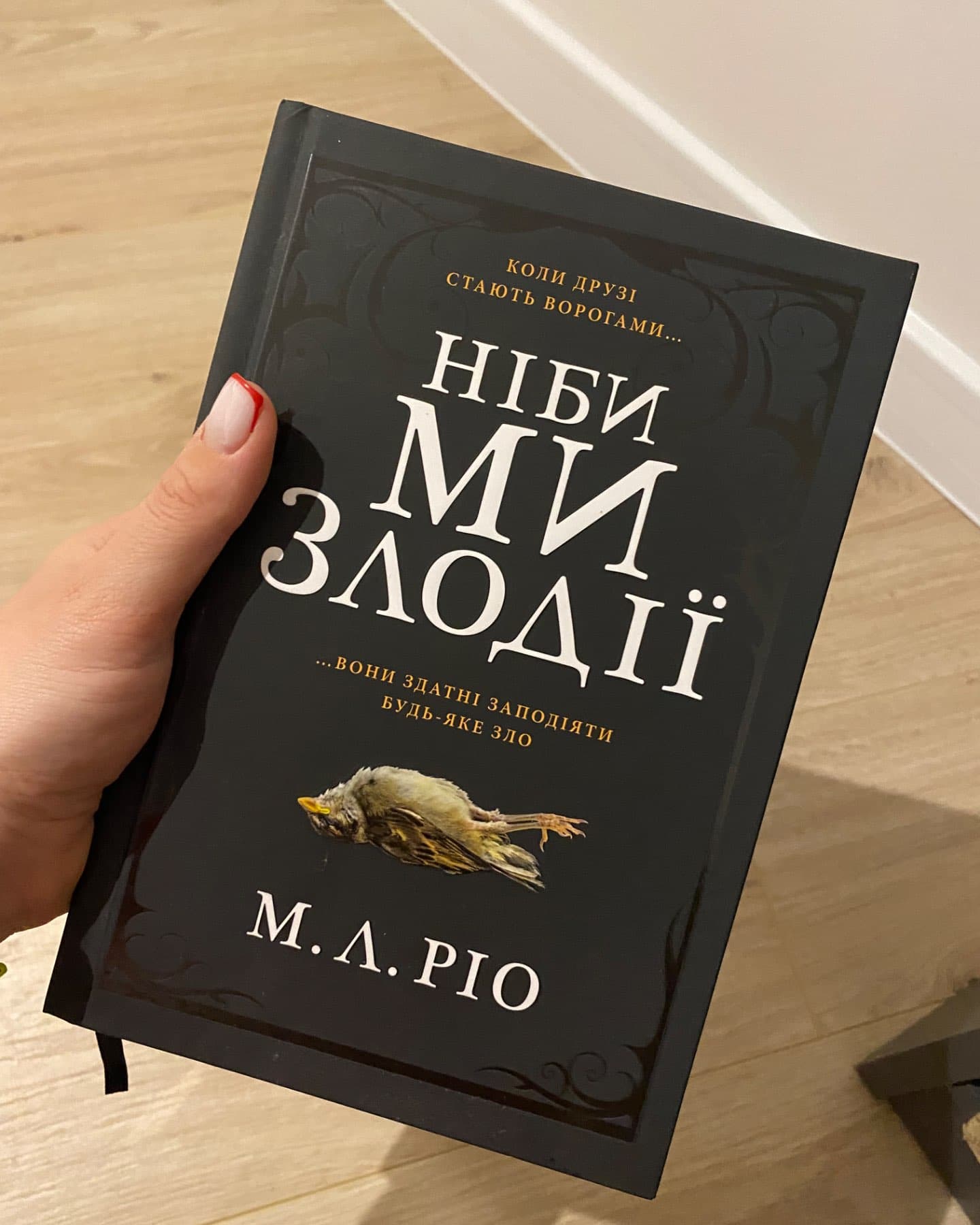 Ніби ми злодії-М. Л. Ріо