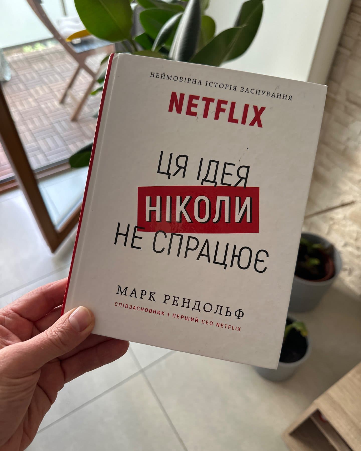 Netflix. Ця ідея ніколи не спрацює-Марк Рендольф