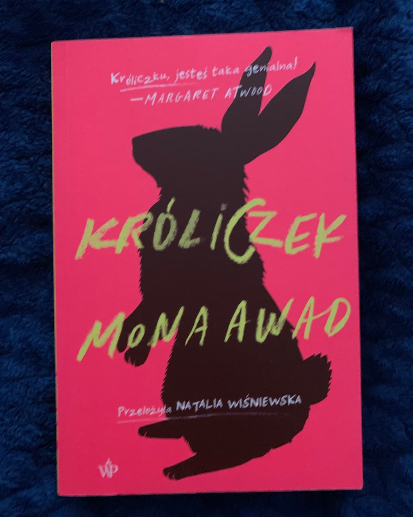 Króliczek-Mona Avad