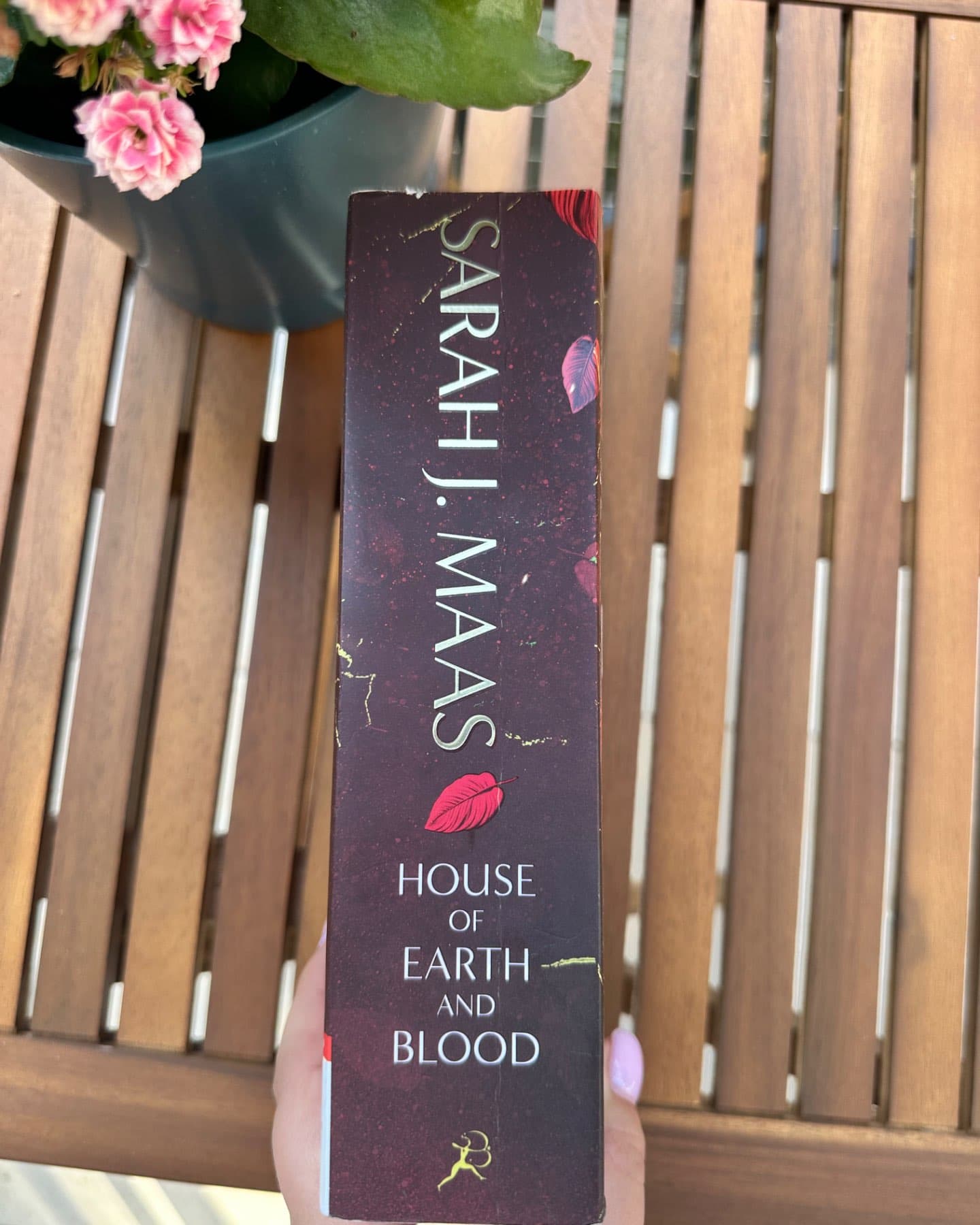 A Crescent City novel-Sarah J. Maas