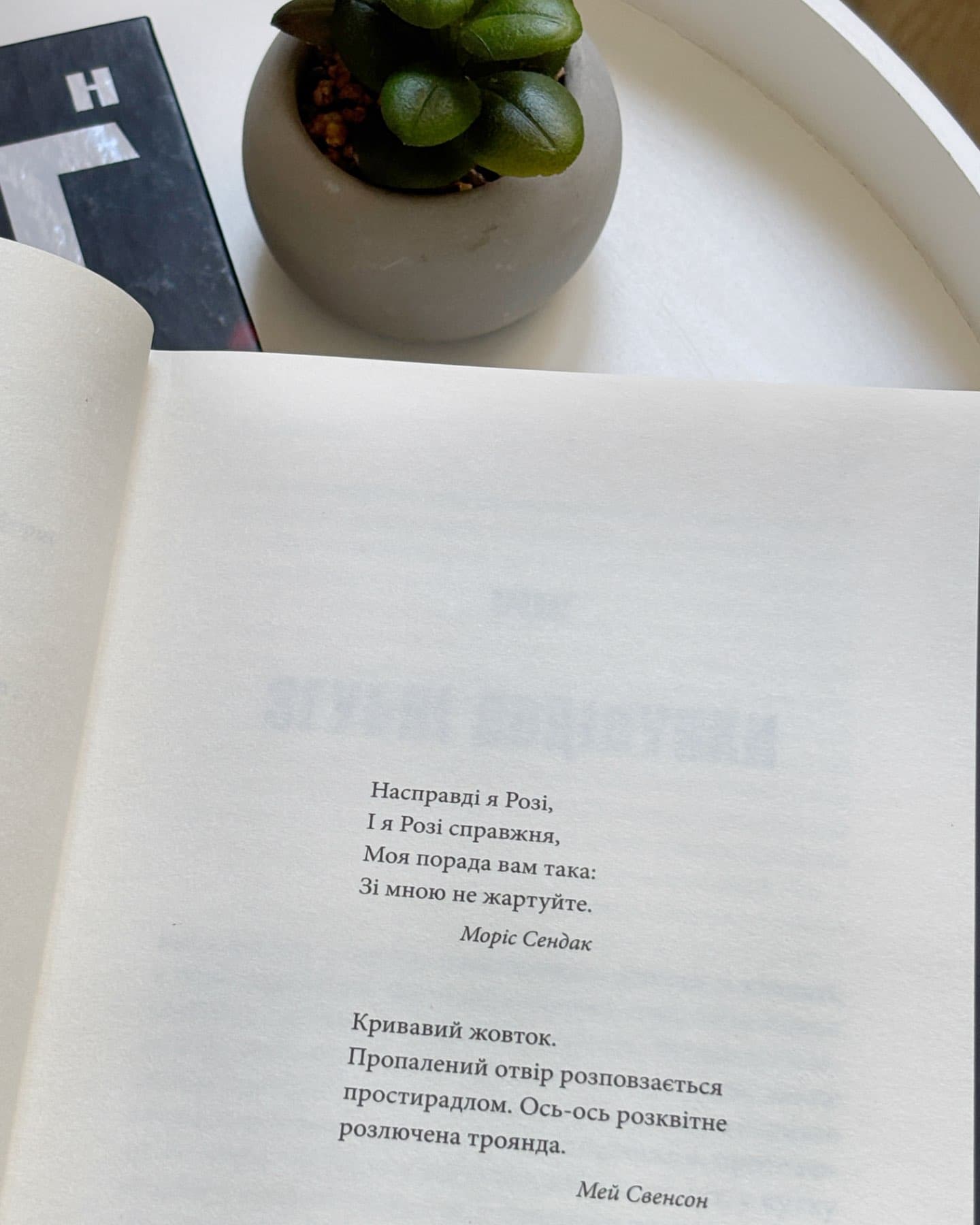 Роза Меддер-Стівен Кінг