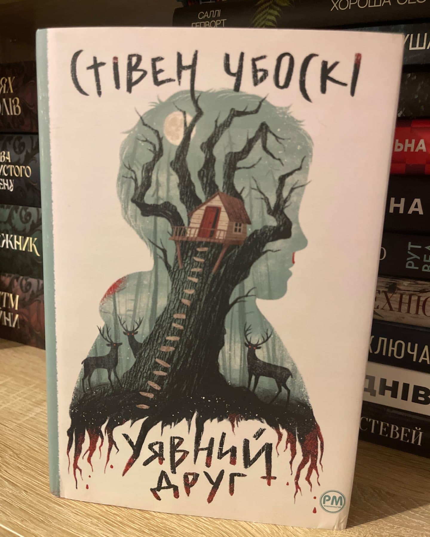 Уявний друг-Стівен Чбоскі