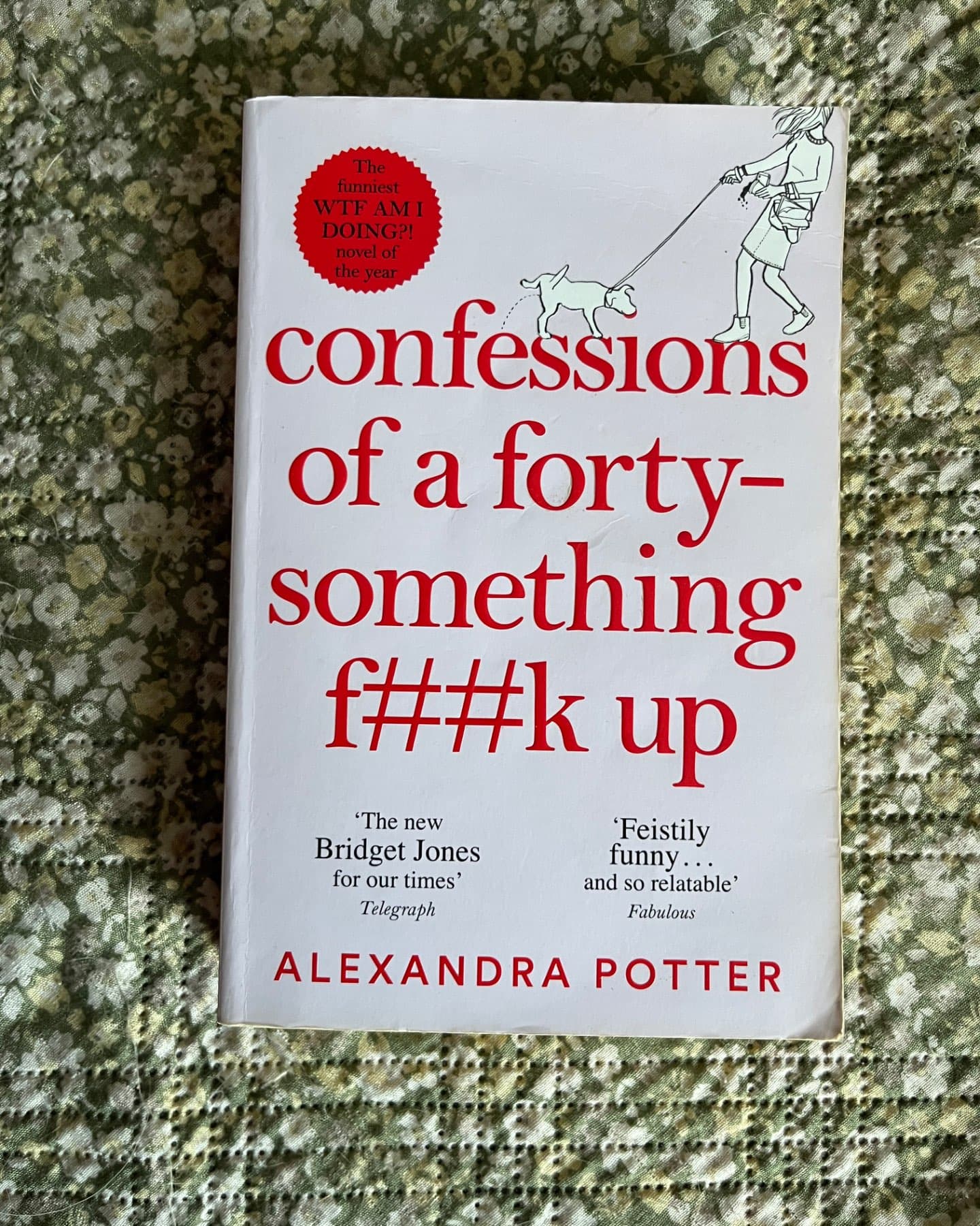 Confessions of a forty-something f##k up-Alexandra Potter