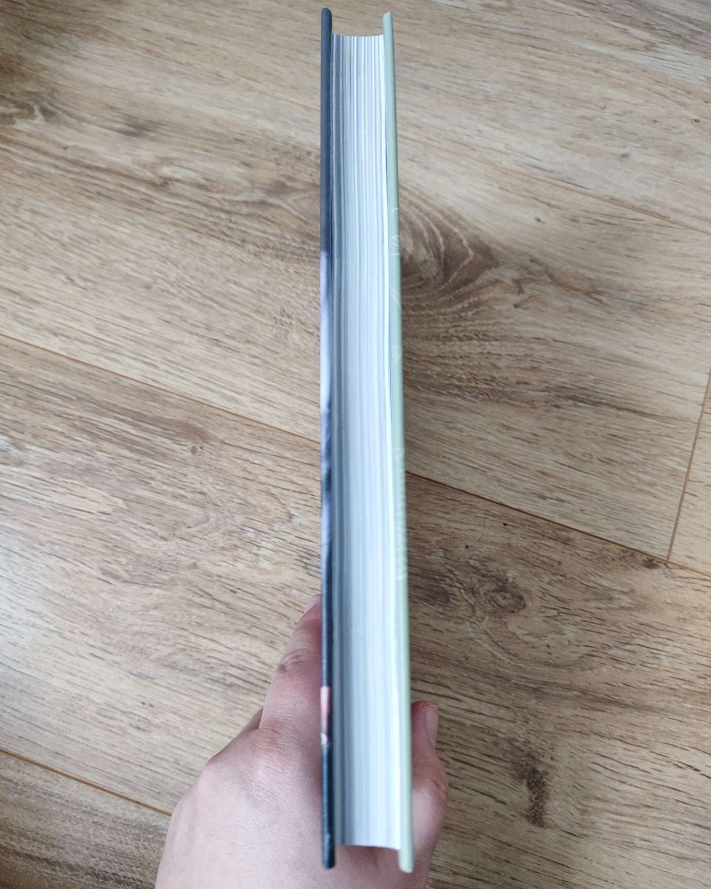 Kolacją że śniadaniem-Volodymyr Testardi