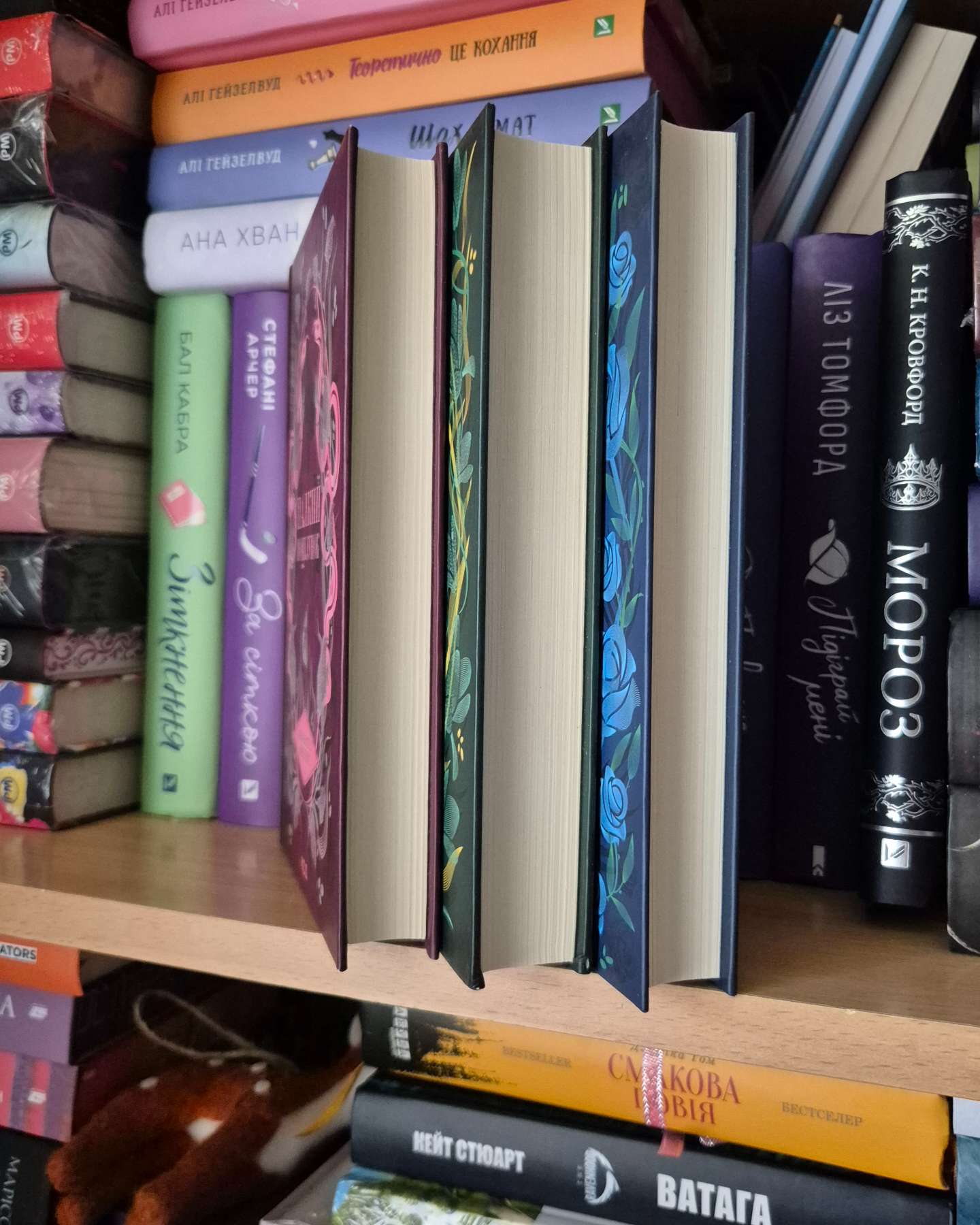 Палкий поцілунок. Книга 1-Дженніфер Л. Арментраут